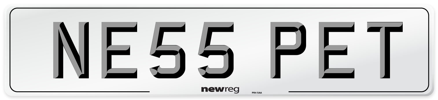 NE55 PET Number Plate from New Reg